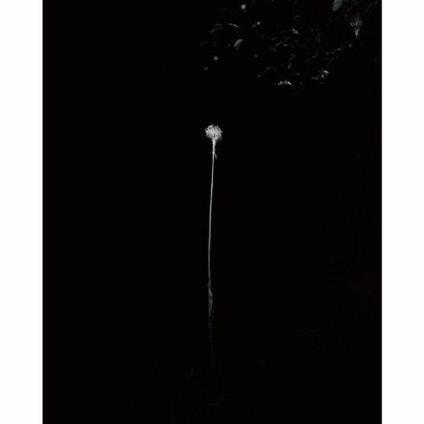 種006