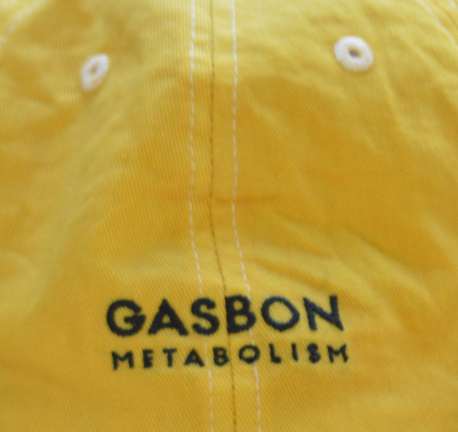 みさき　GASOBN 草木染めCAP