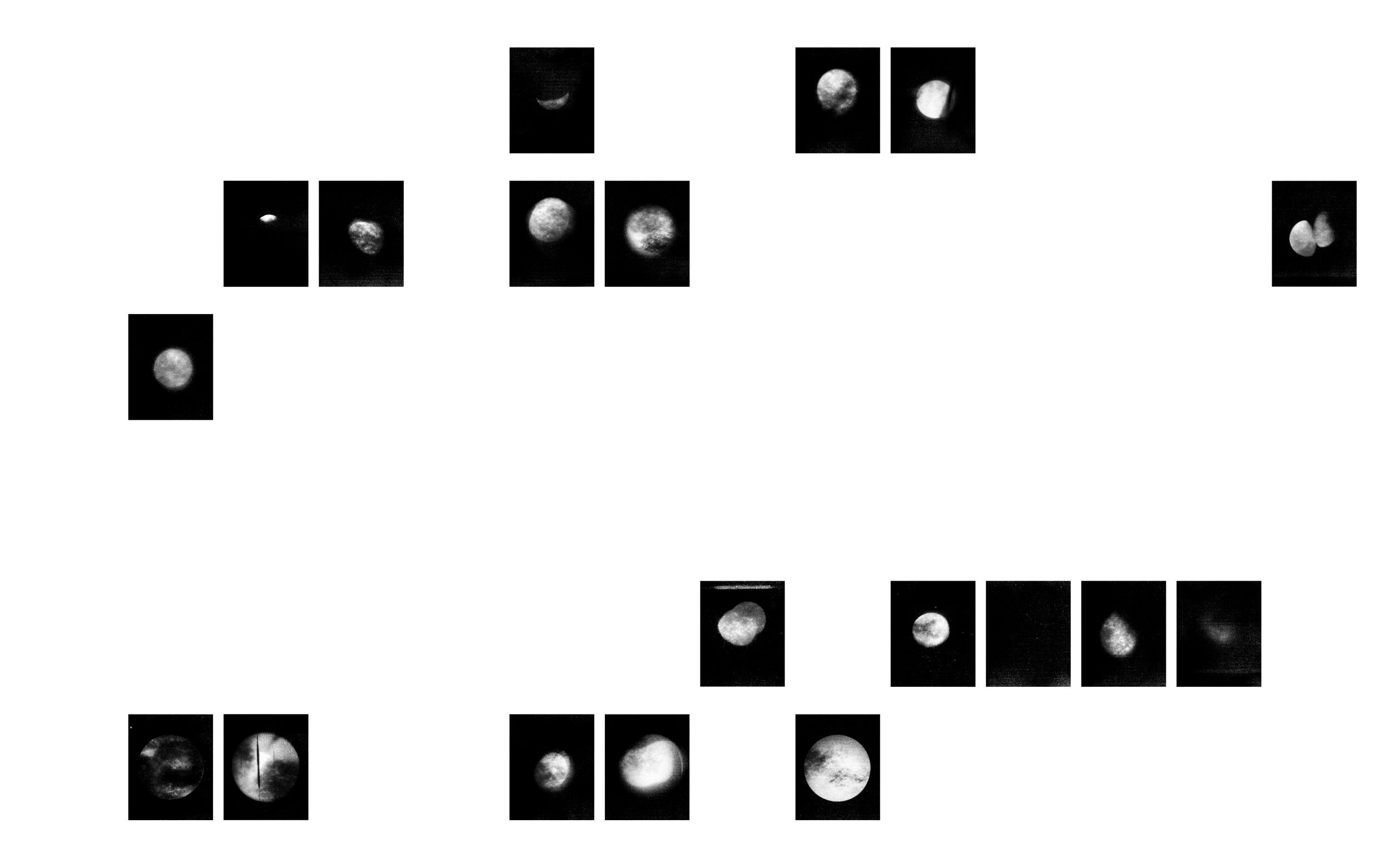 大町晃平 『moon echo』