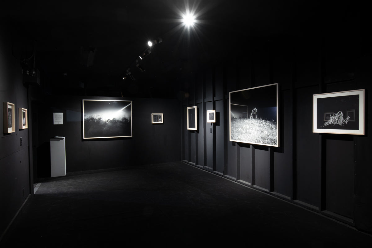 展覧会風景