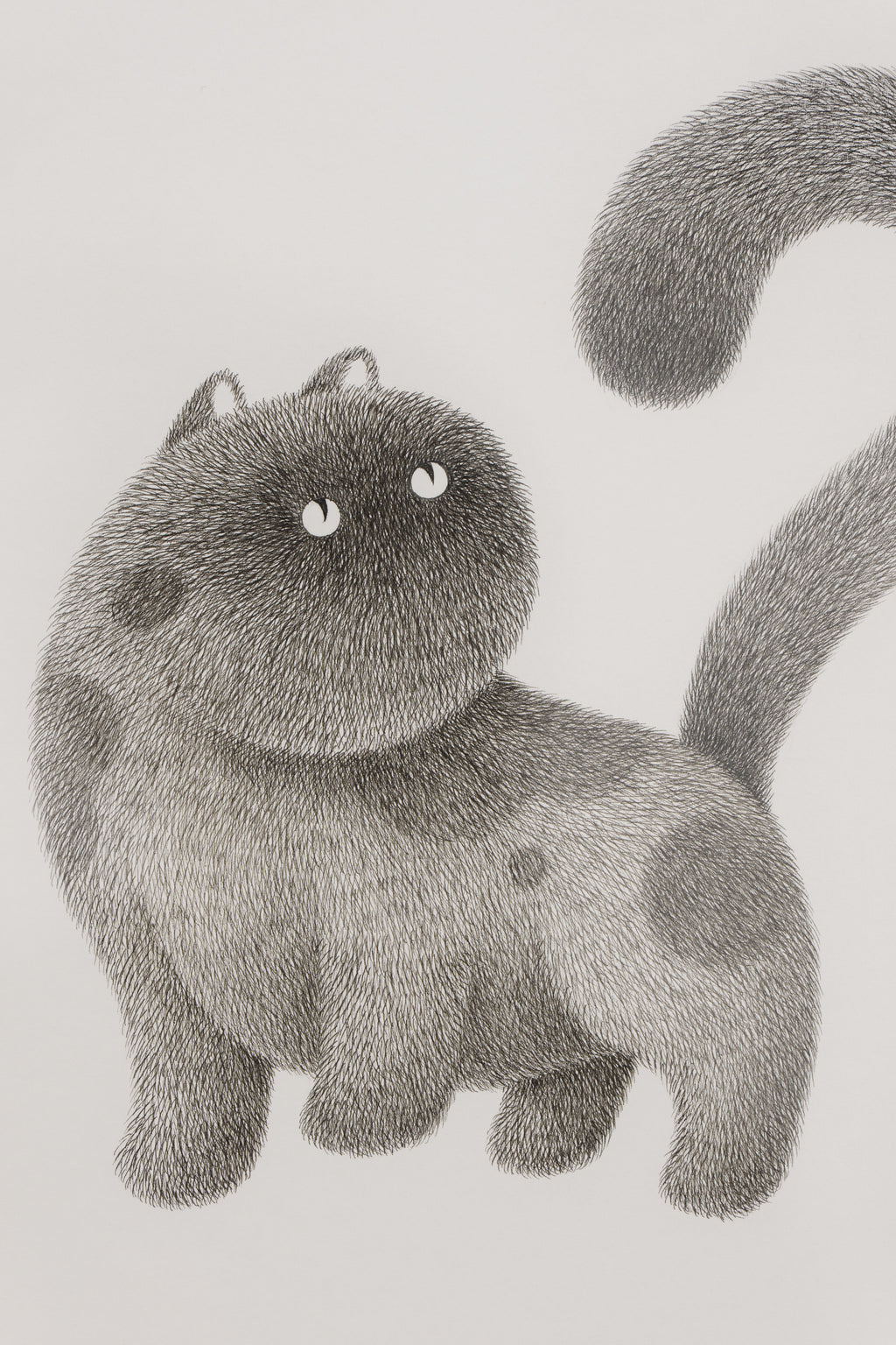 Kitty No.11