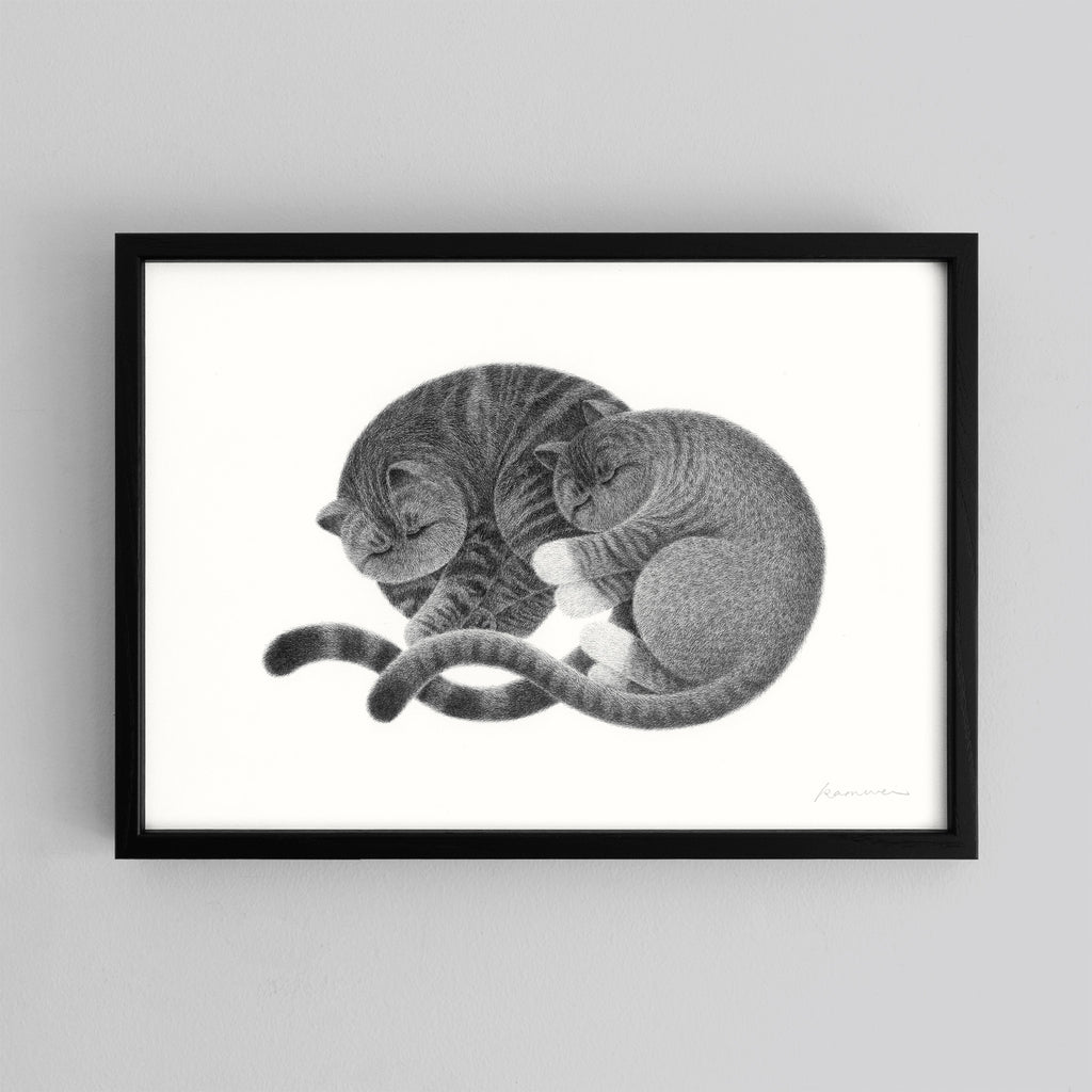 Companion No.3 – A3 Open Edition Print