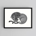 Companion No.3 – A3 Open Edition Print