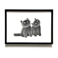 Companion No.6 – A3  Limited Edition Print