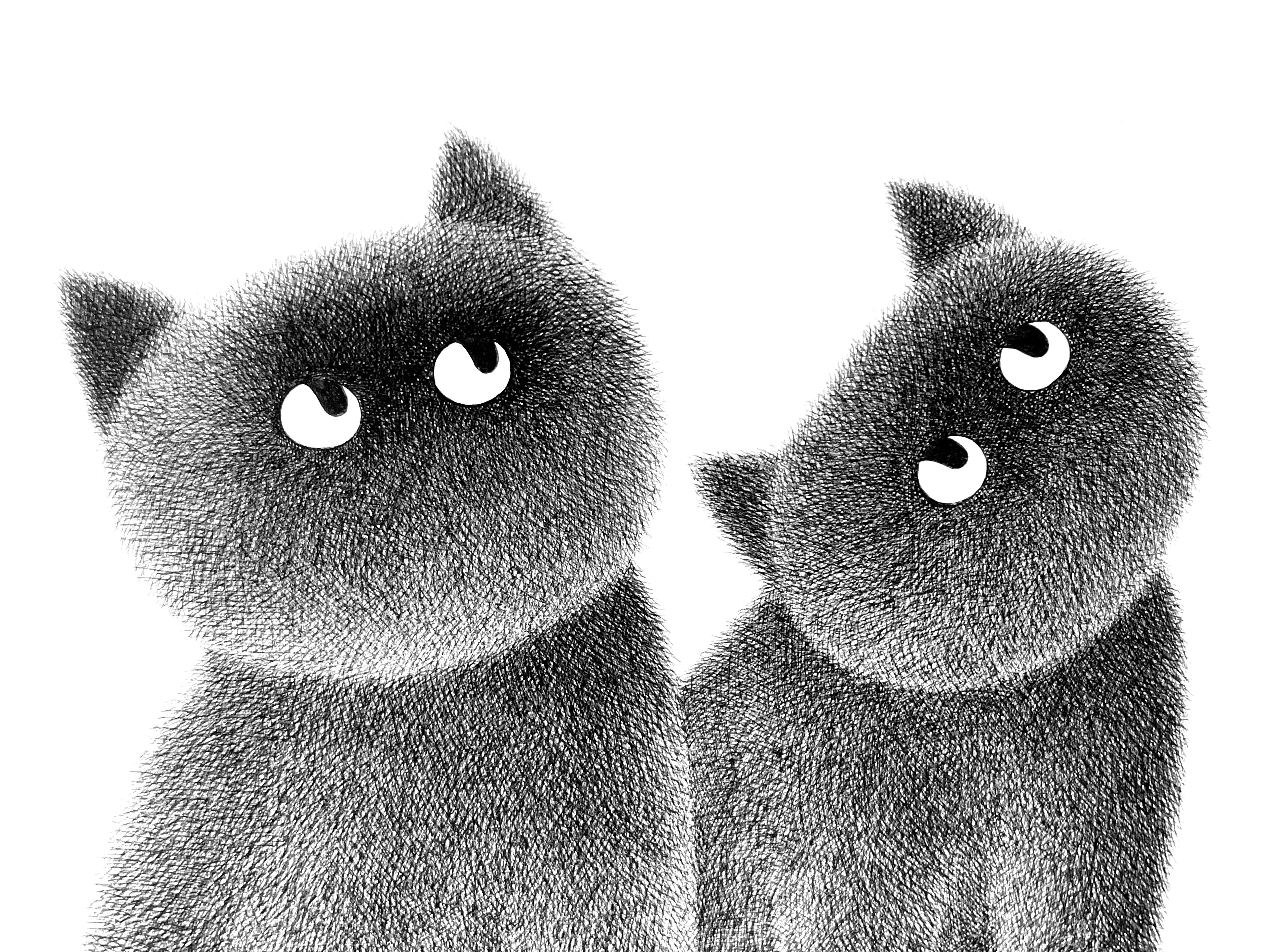 Companion No.6 – A3  Limited Edition Print