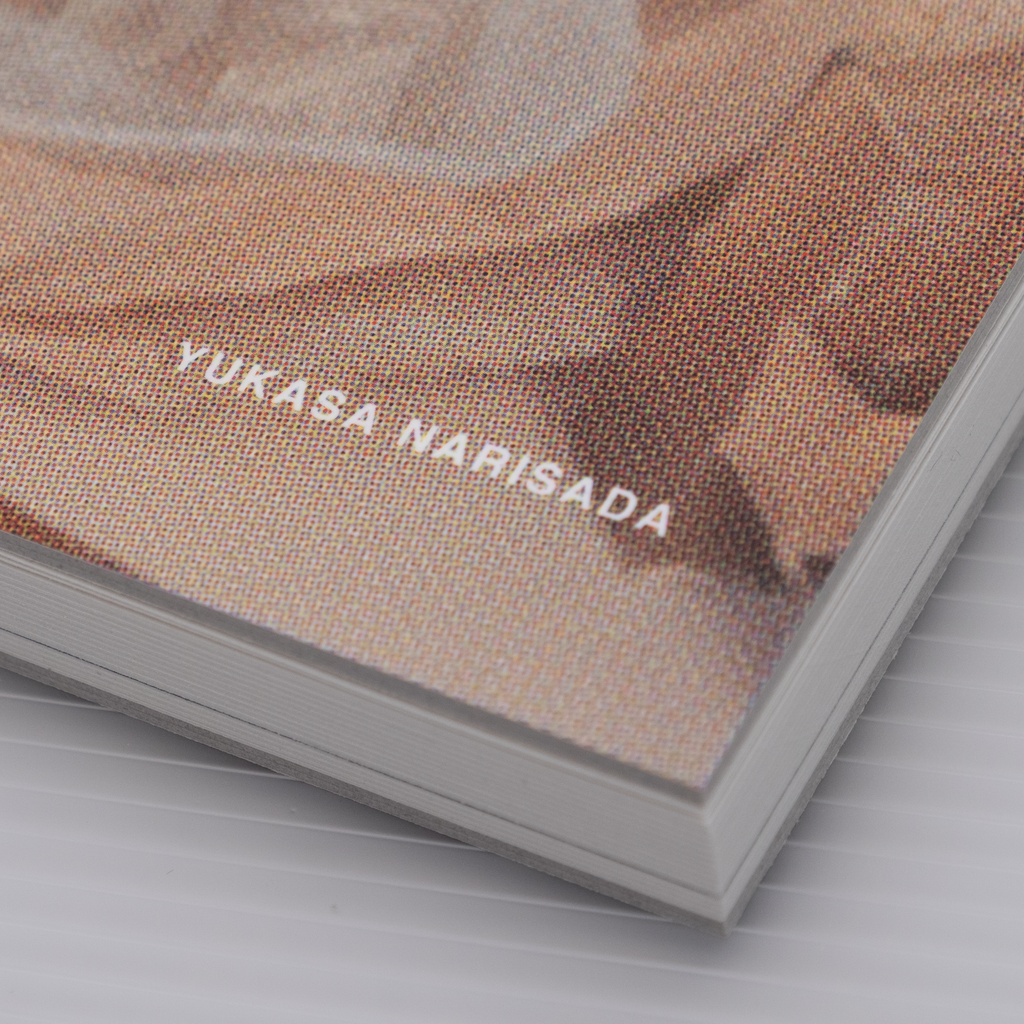 TO ANY FUTURE FORM THAT WILL BE ABLE TO PRESENT ITSELF AS AN INVISIBLE