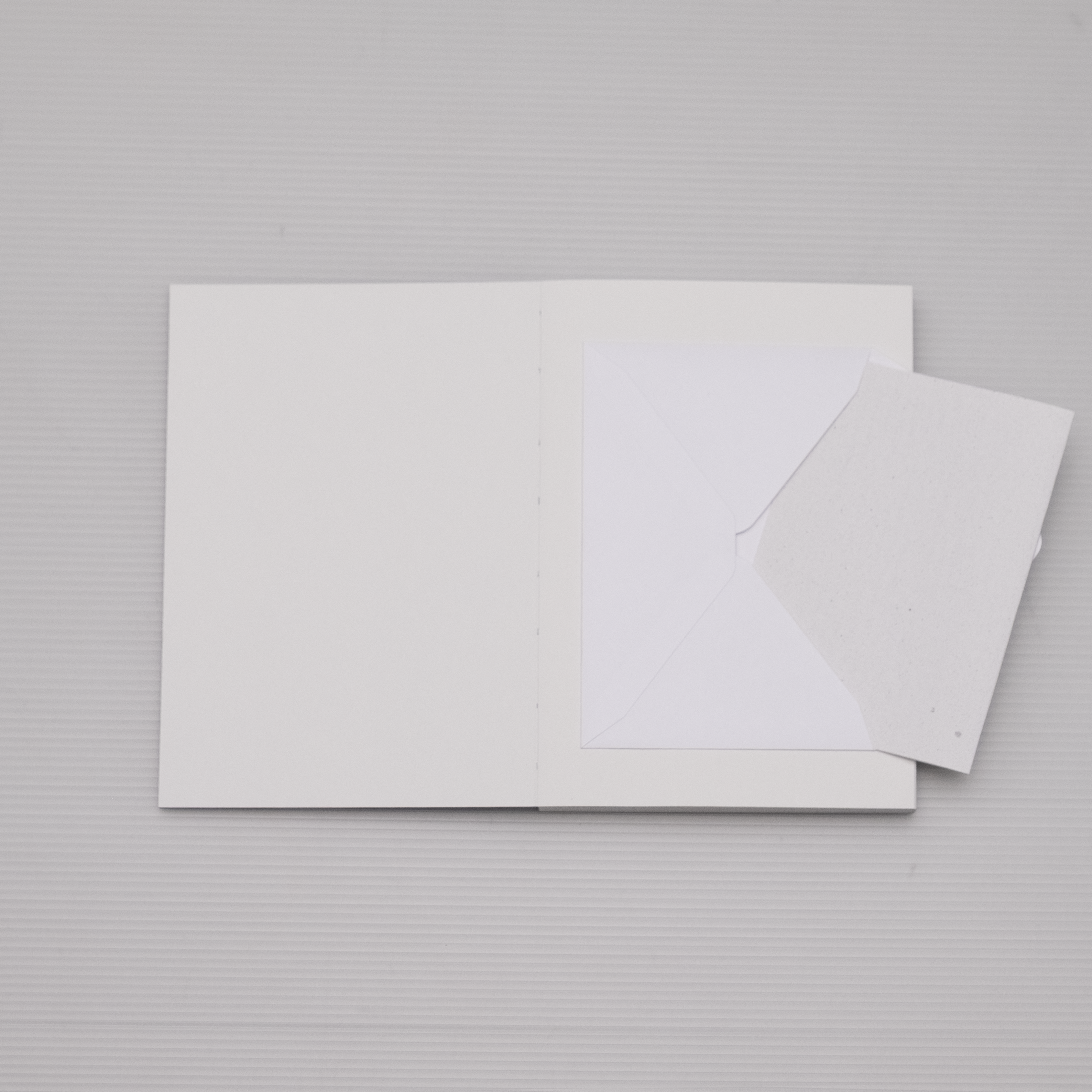 TO ANY FUTURE FORM THAT WILL BE ABLE TO PRESENT ITSELF AS AN INVISIBLE