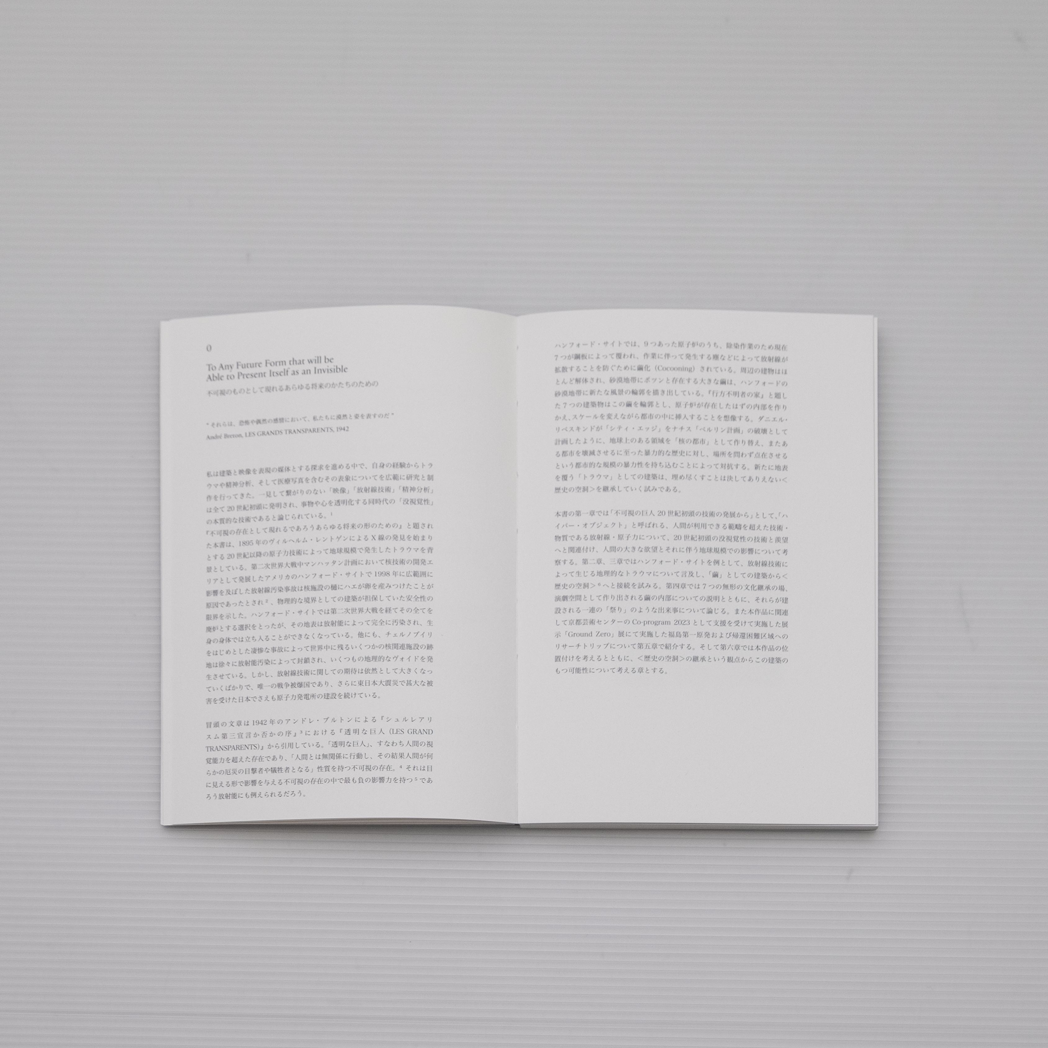 TO ANY FUTURE FORM THAT WILL BE ABLE TO PRESENT ITSELF AS AN INVISIBLE