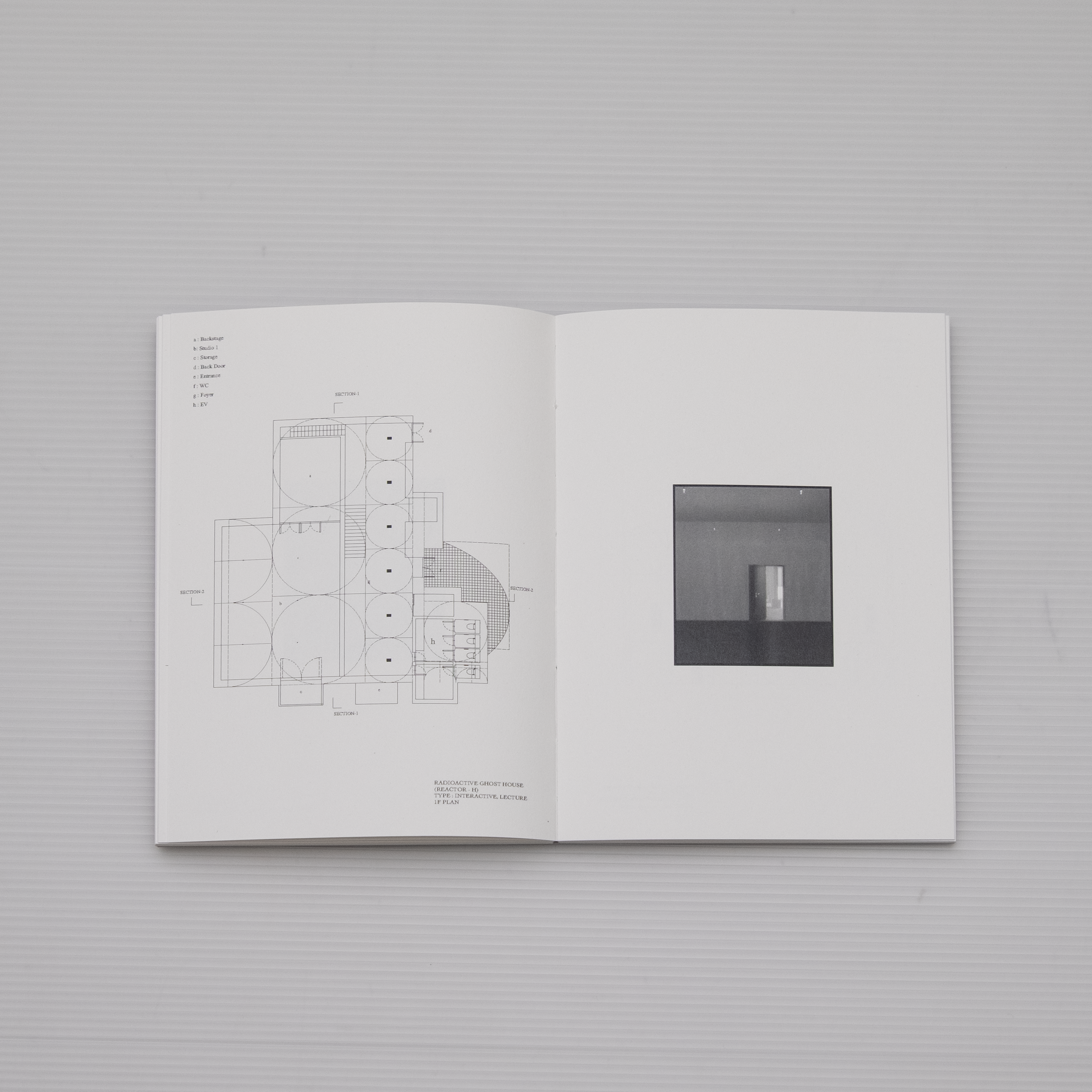 TO ANY FUTURE FORM THAT WILL BE ABLE TO PRESENT ITSELF AS AN INVISIBLE