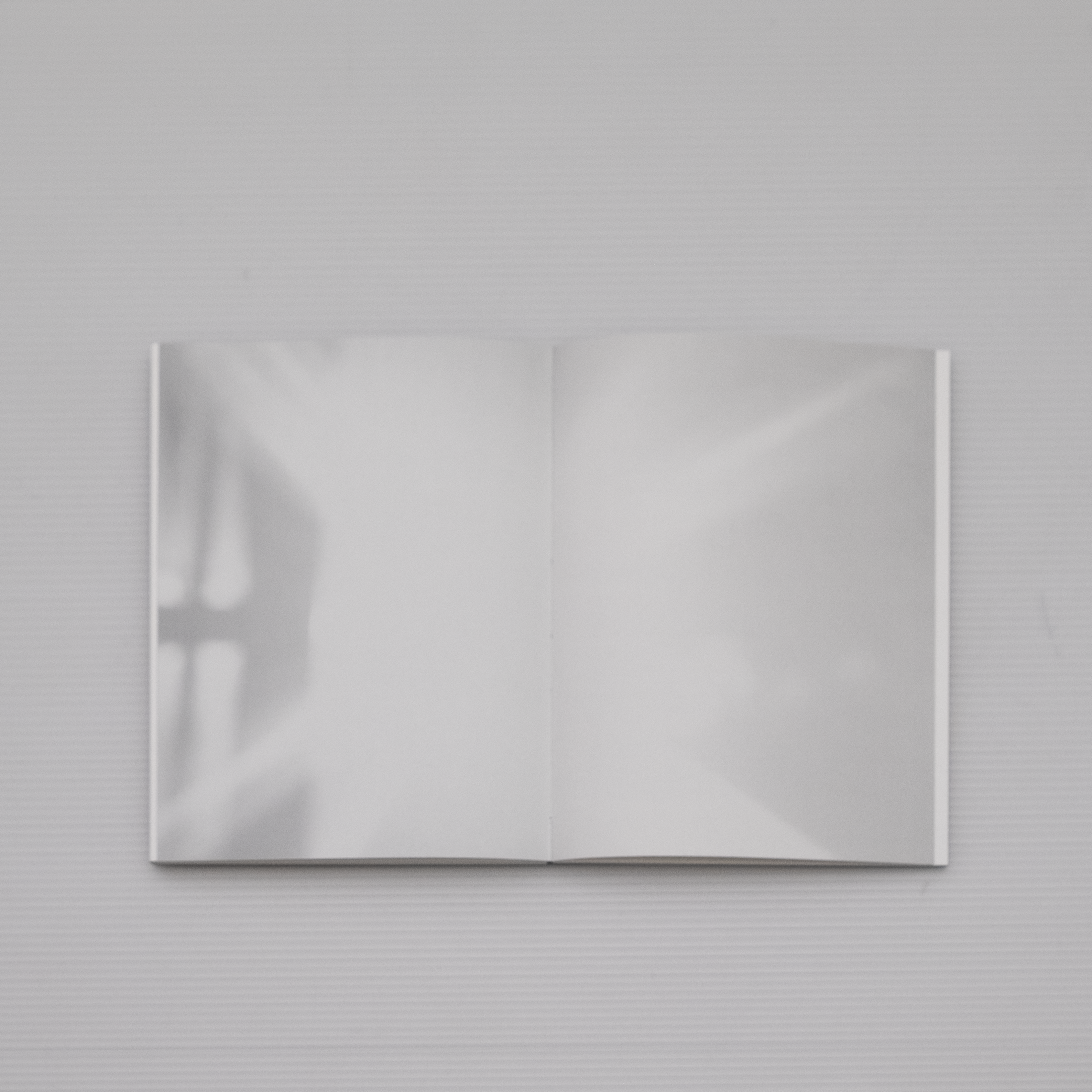 TO ANY FUTURE FORM THAT WILL BE ABLE TO PRESENT ITSELF AS AN INVISIBLE