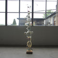 Living Tree#5  seed