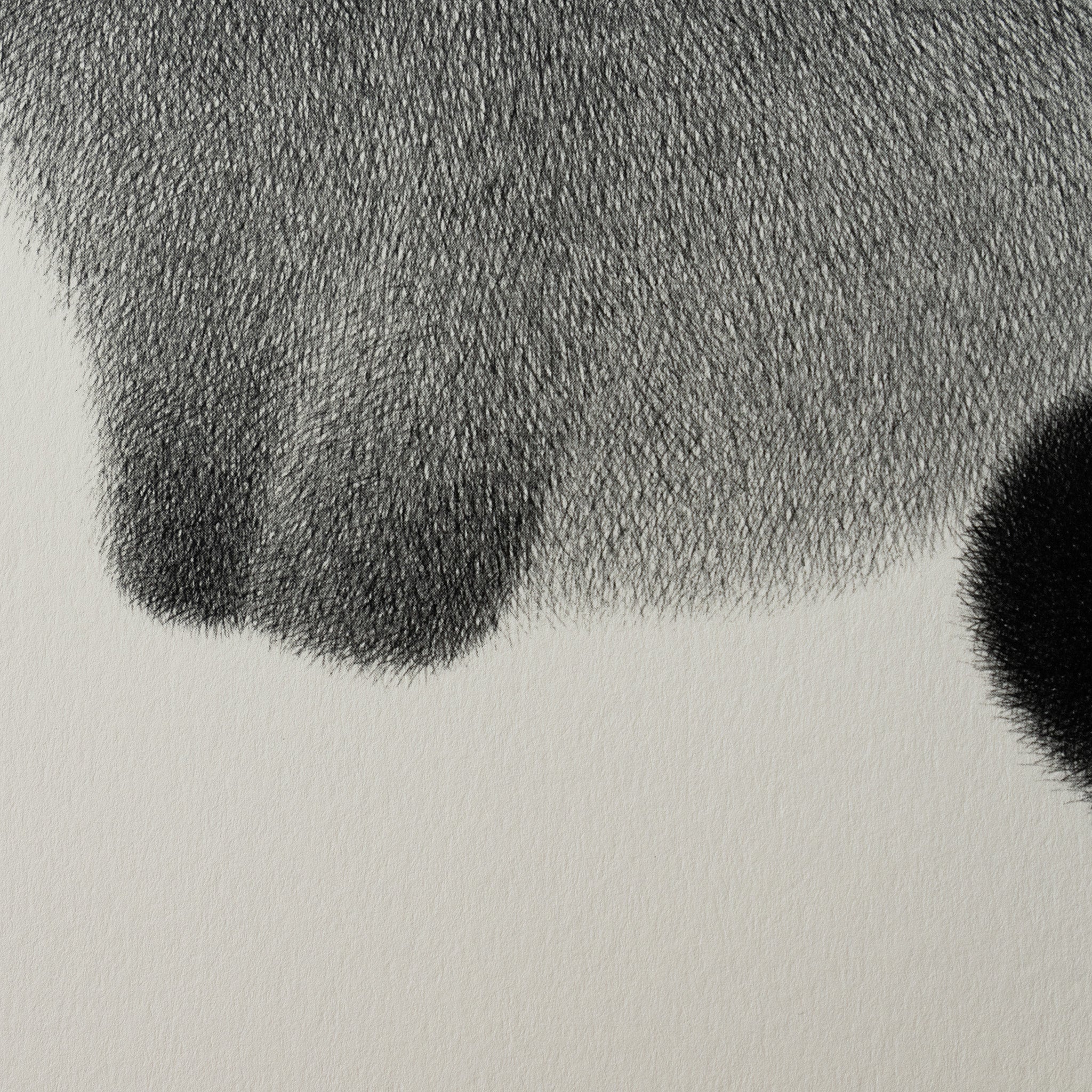 Kitty No.108 – A3 Open Edition Print