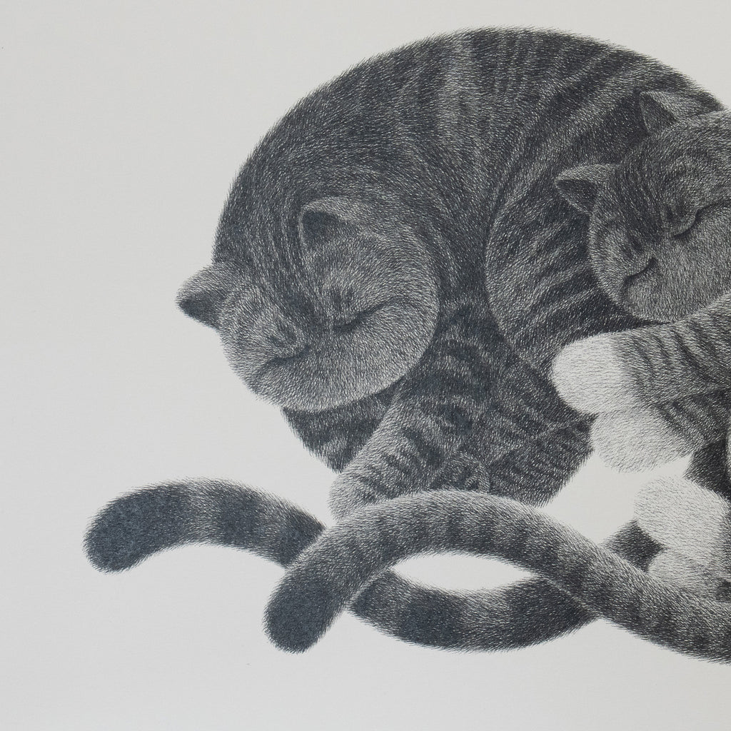 Companion No.3 – A3 Open Edition Print