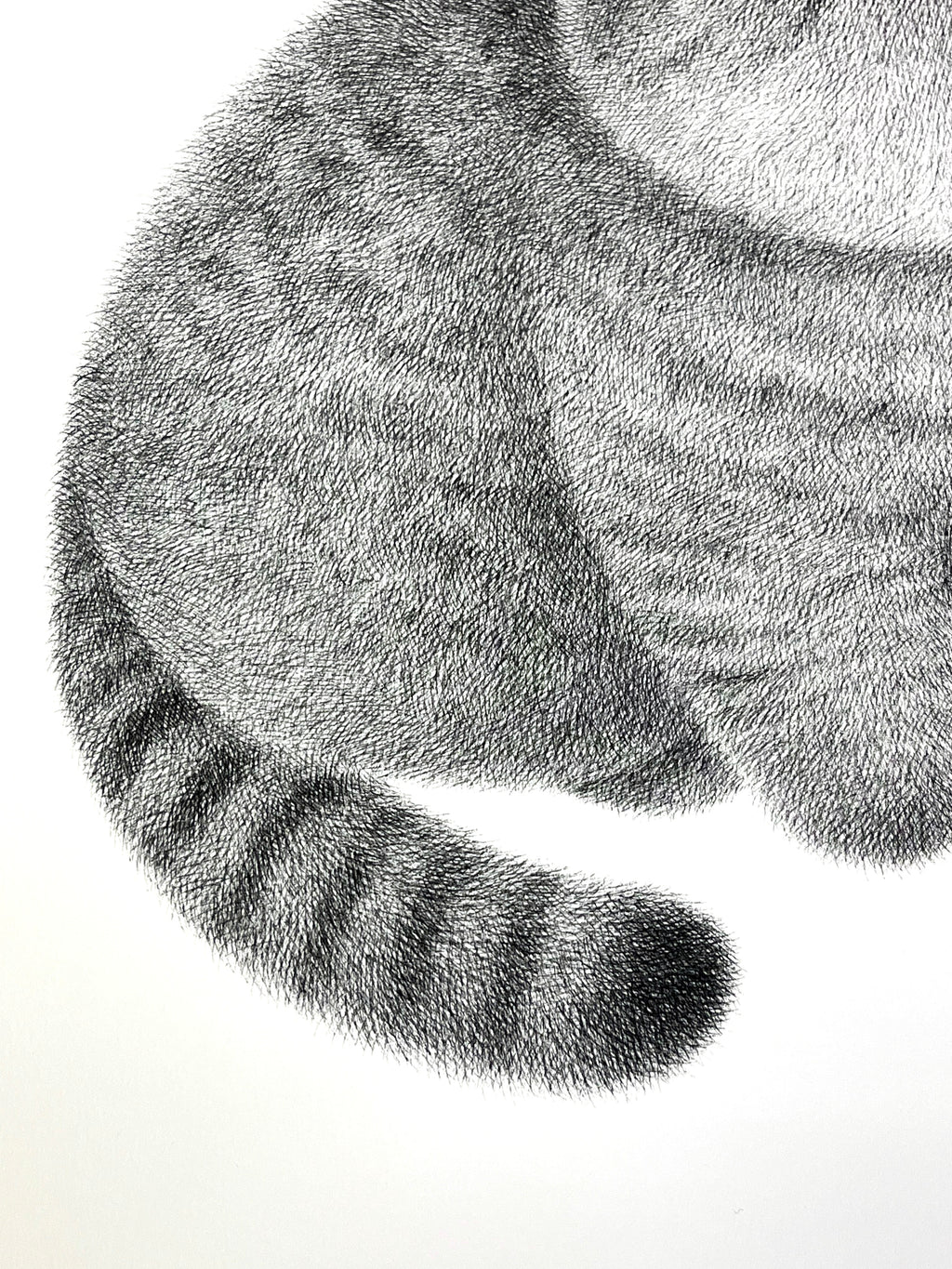 Kitty No.104 – A3 Open Edition Print