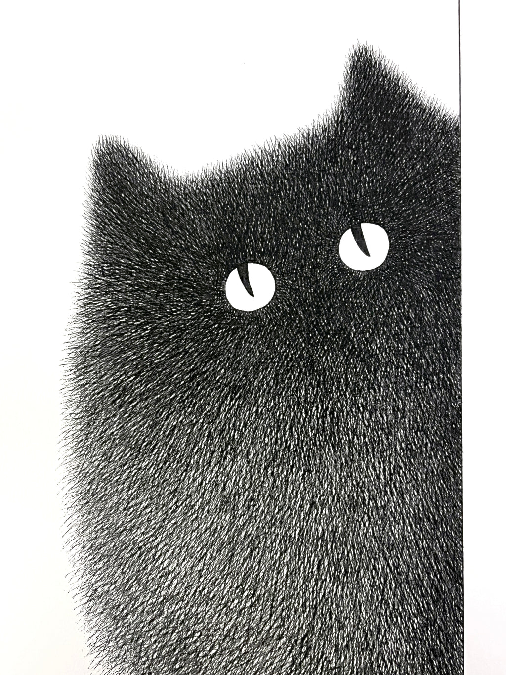 Kitty No.50 – A3  Limited Edition Print