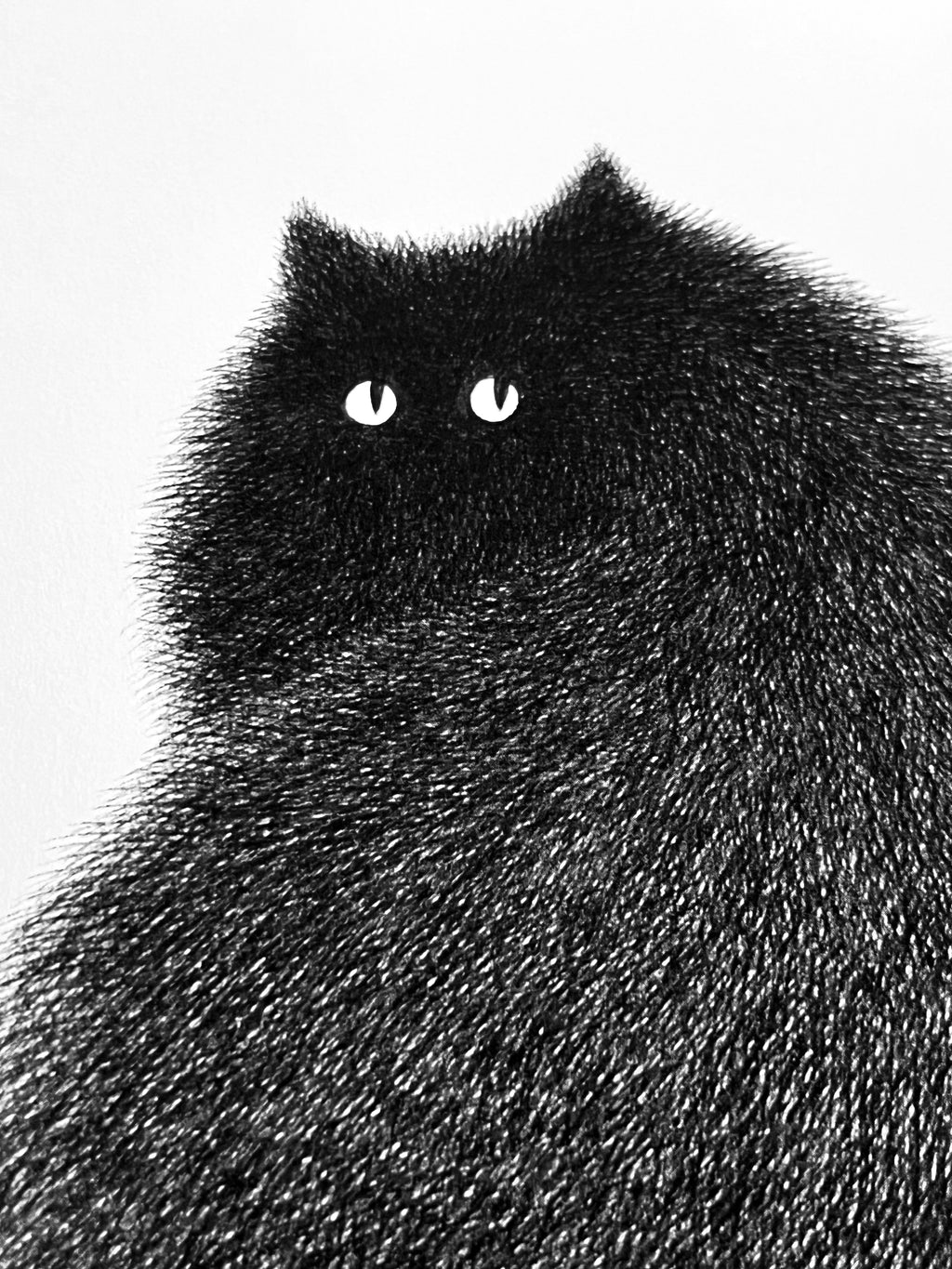 Kitty No.81 – A3 Open Edition Print