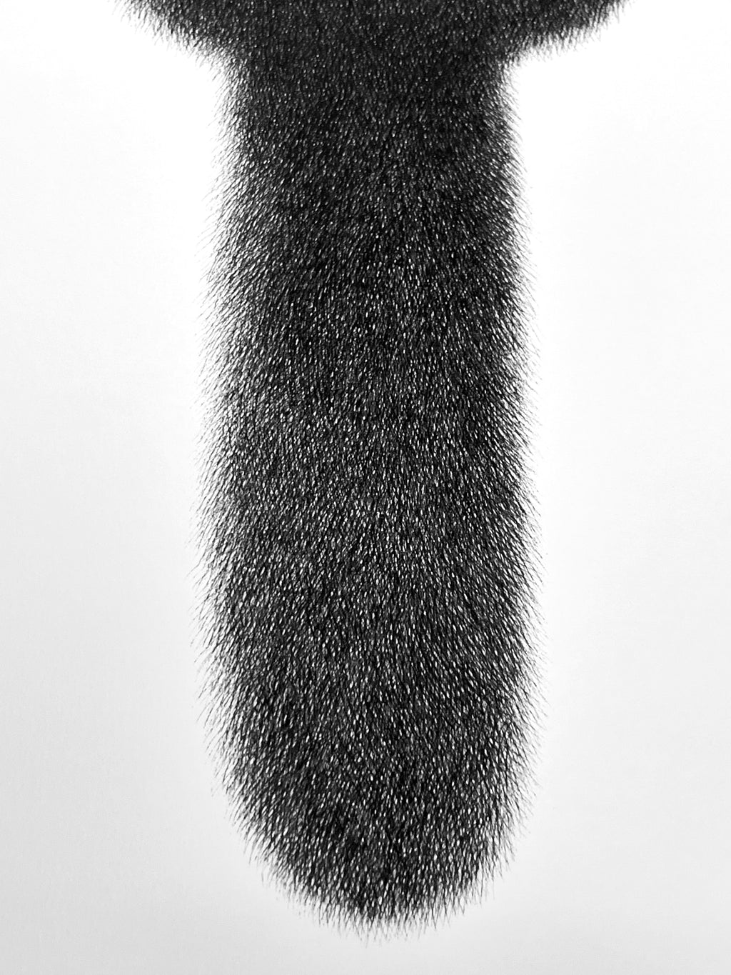 Kitty No.81 – A3 Open Edition Print