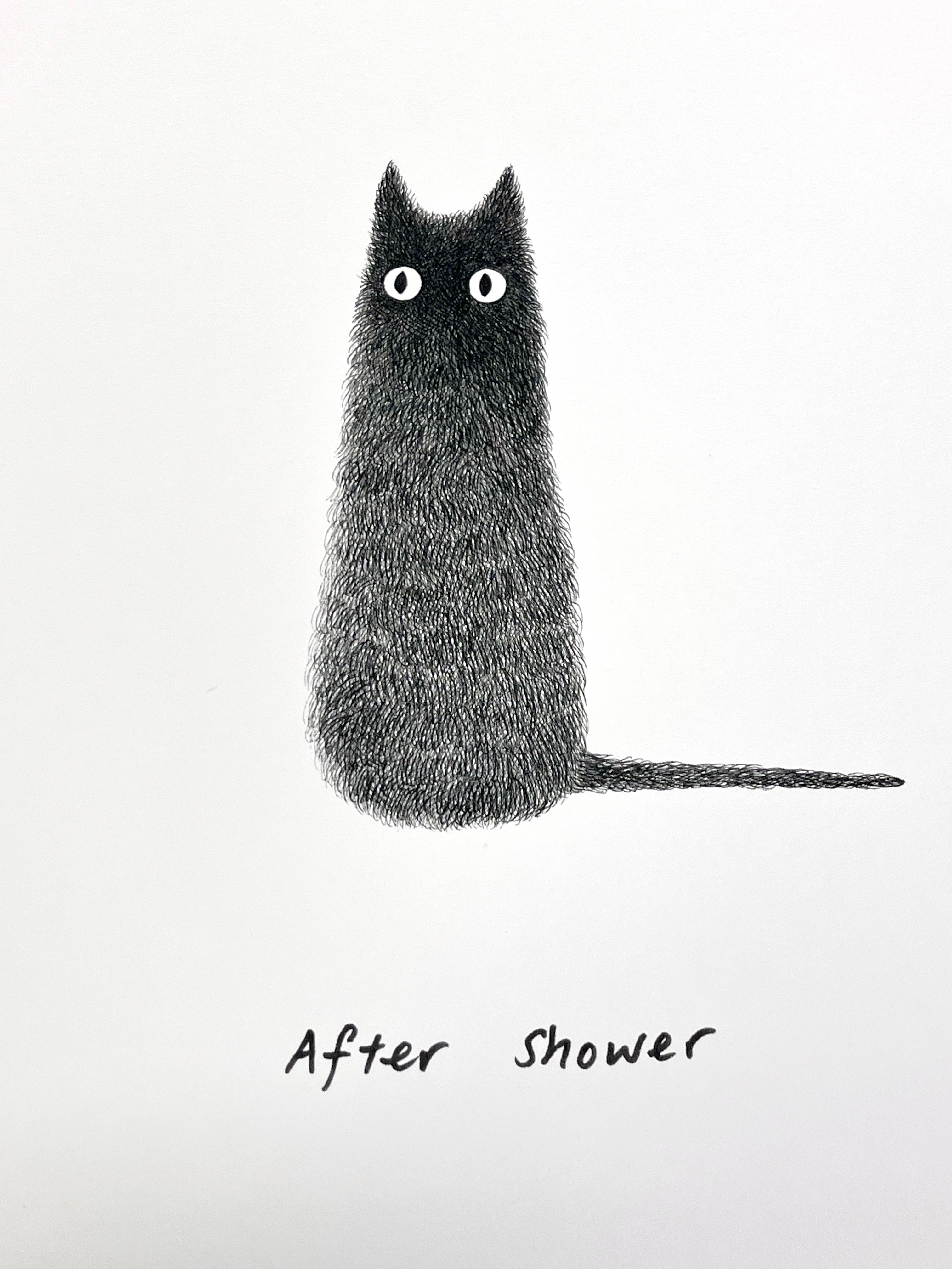Kitty No.3 Before shower / After shower – A3 Open Edition Print