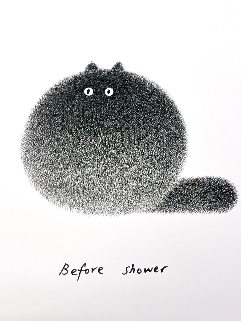 Kitty No.3 Before shower / After shower – A3 Open Edition Print