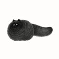 Kitty No.24