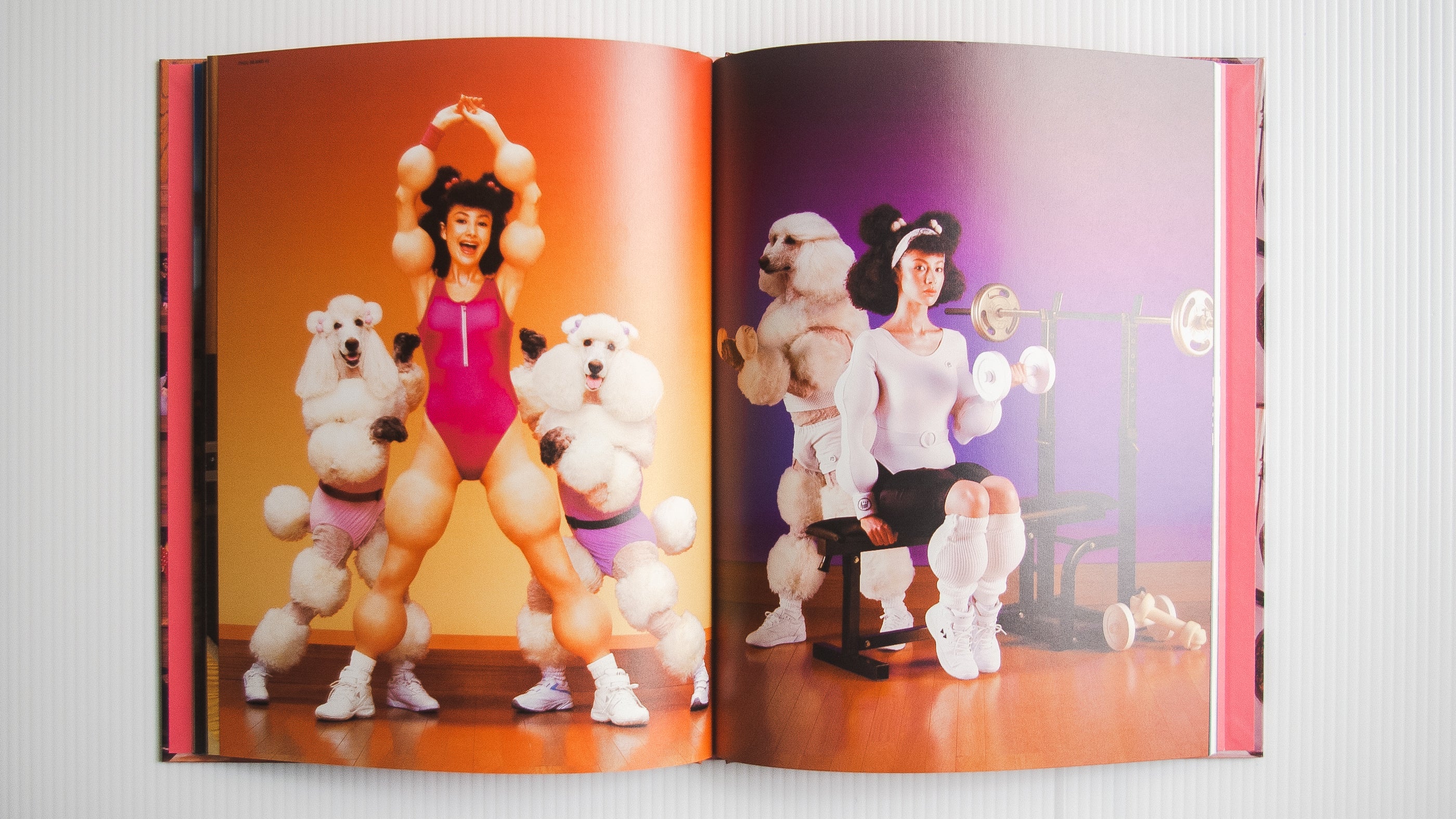 GASBOOK 22 NAGI NODA