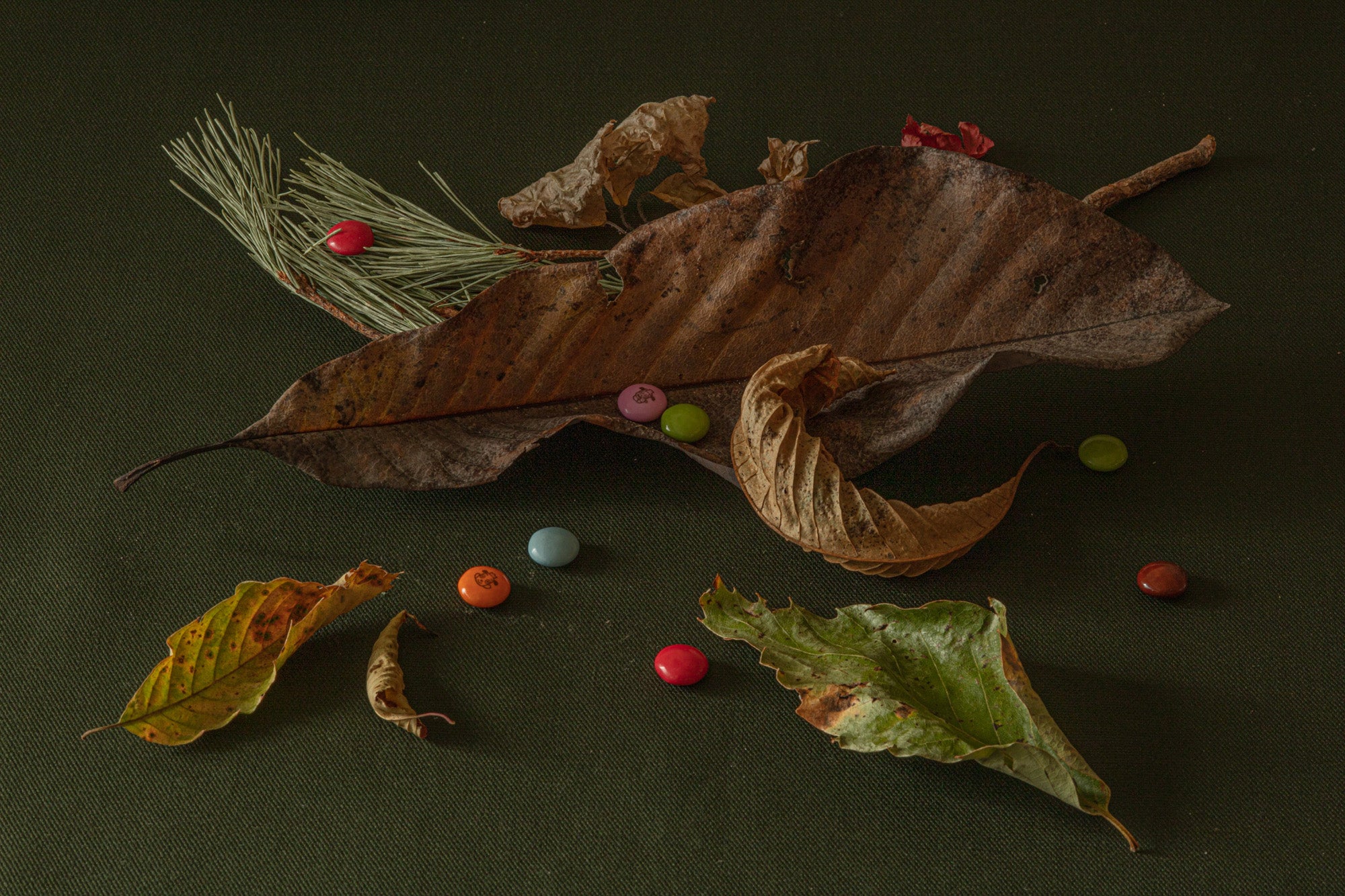 Leaves and Marbles
