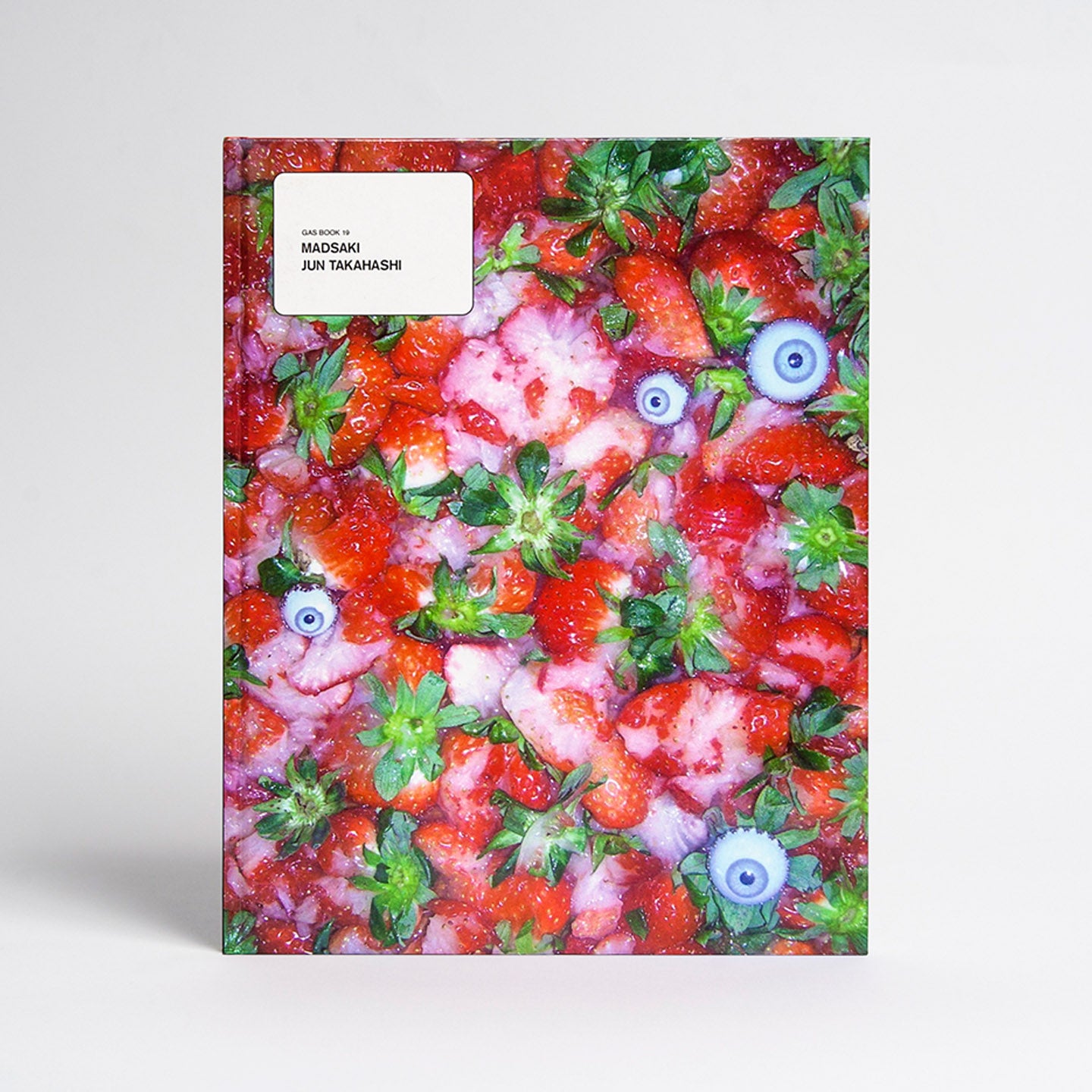 GASBOOK 19 MADSAKI JUNTAKAHASHI