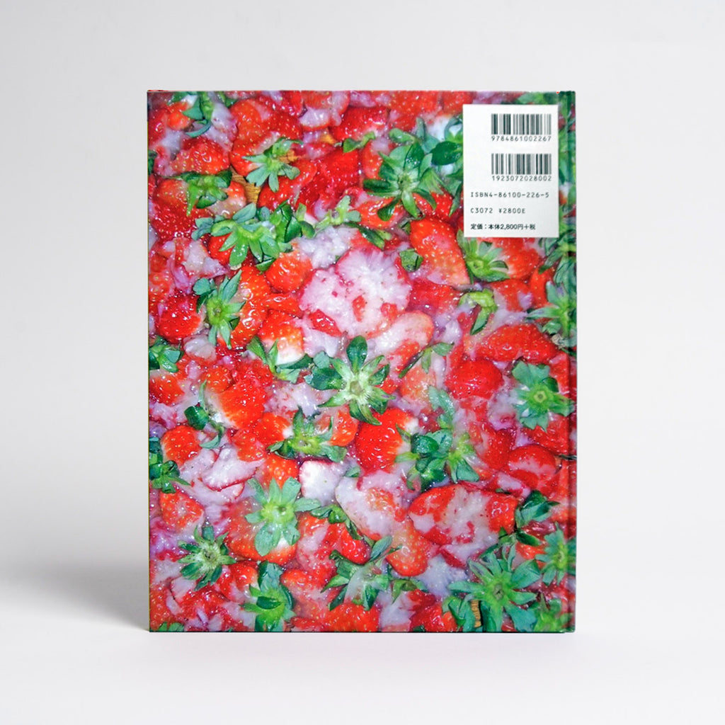 GASBOOK 19 MADSAKI JUNTAKAHASHI